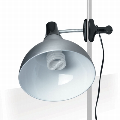 Daylight DAYLIGHT E31475 CLIPON LAMP