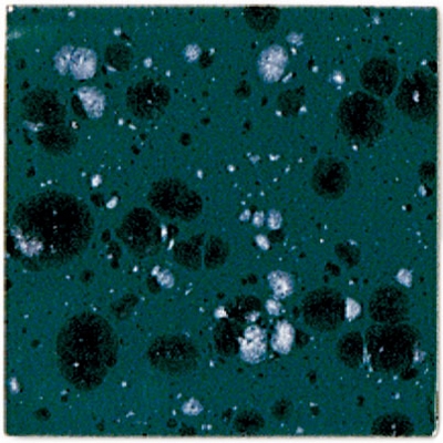 Botz Botz glazuur 9507 ivy glans 200ml