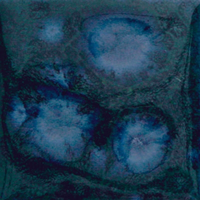 Botz Botz glazuur 9520 waterfall satijn 200ml