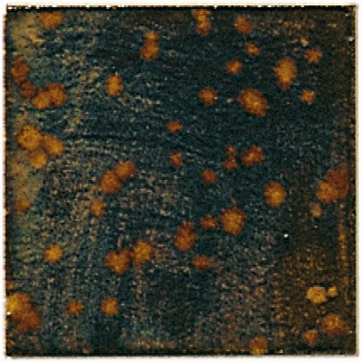 Botz Botz glazuur 9533 ironstone satijn 200ml