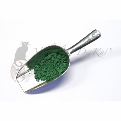 Verfmolen De Kat BOSCH GROEN 100 GRAM